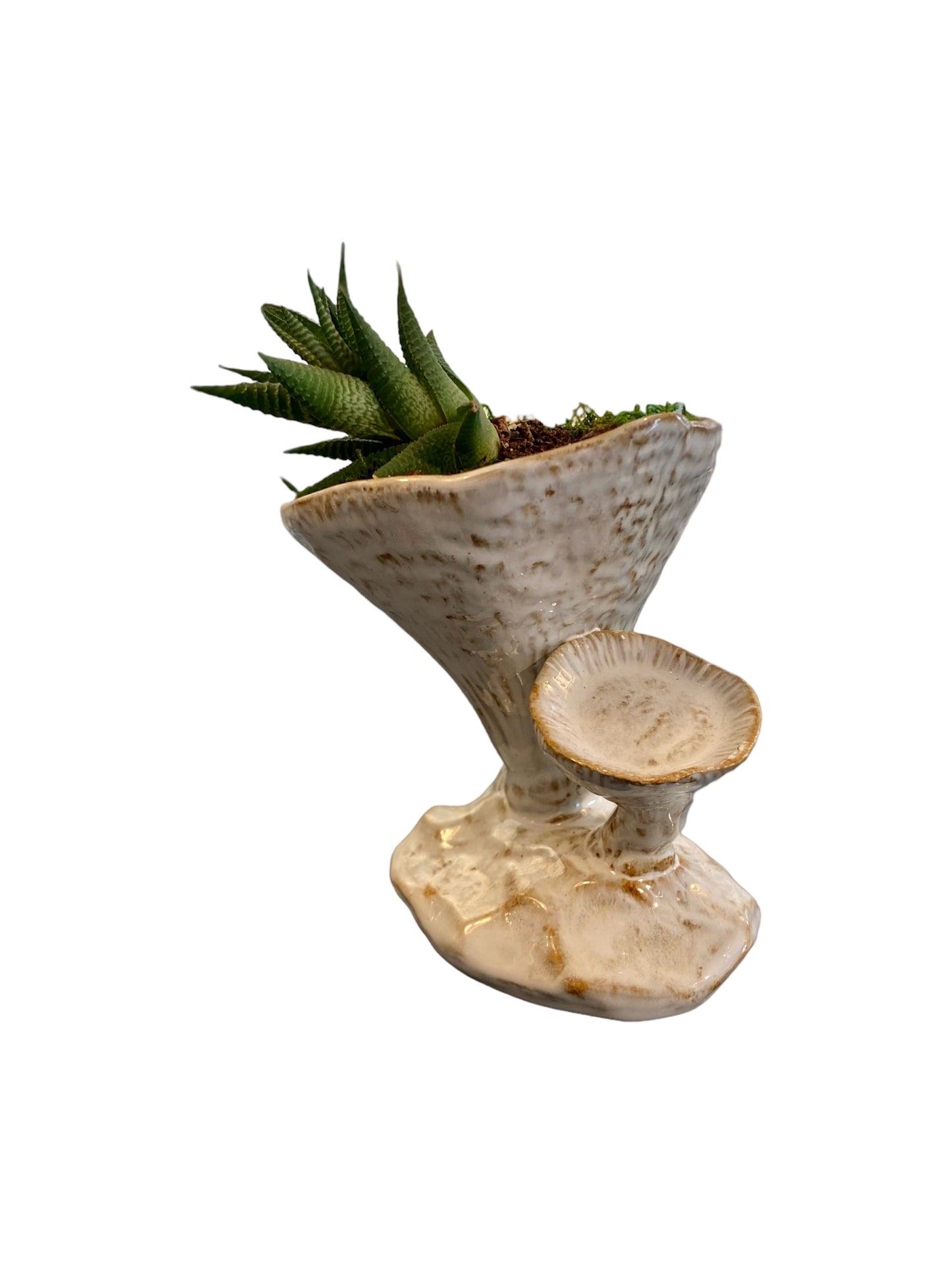 Yarnnakarn Studios Ceramic Chanterelle Mushroom Planter or Candle Holder